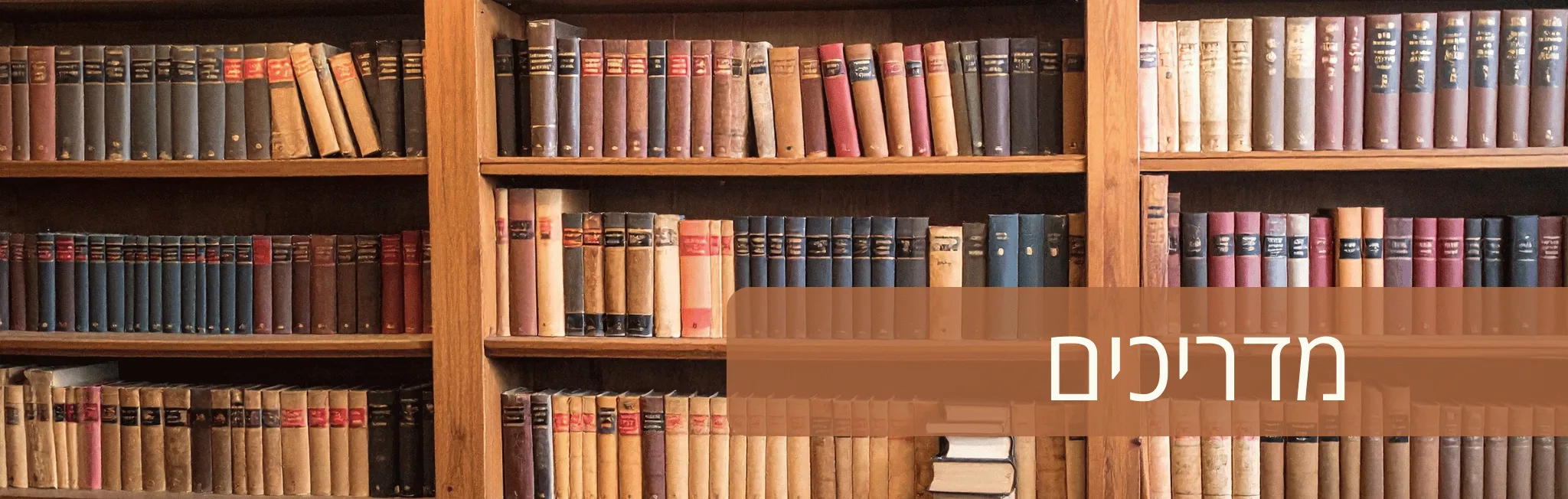 משרד המשפטים – מדריך למיופה הכוח בייפוי הכוח המתמשך – עו״ד ומגשרת - ד''ר דינה ארליך-חורש